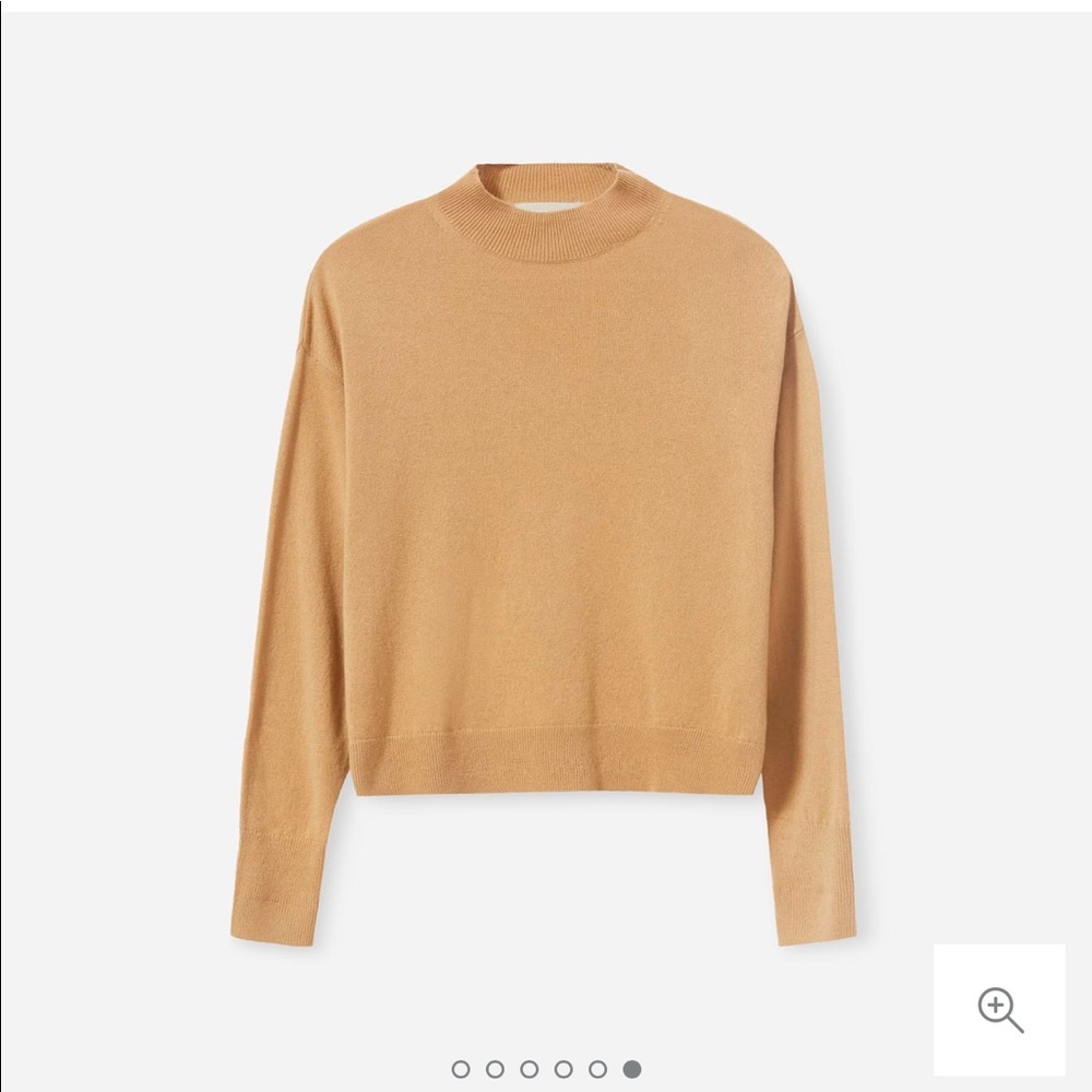 Everlane Cashmere Crop Mockneck